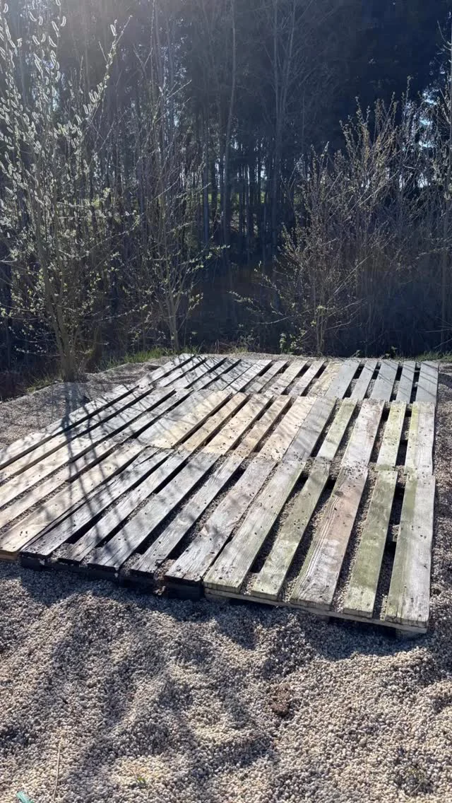 Instagram-Beitrag 18063432434344068